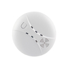 Home Security 30ppm Carbon Monoxide Co Alarm Battery Operated