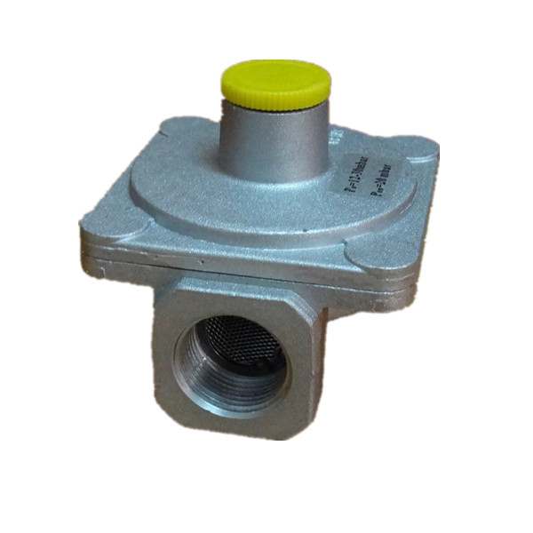 Small Natural Gas Pressure Regulator with Filter